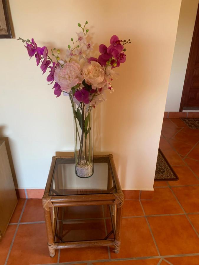 Apartamento Casa Fraile San Miguel San Miguel de Allende Exterior foto